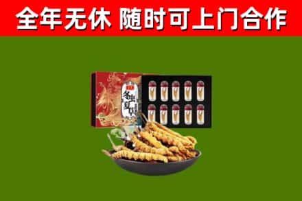 浉河烟酒回收冬虫夏草礼盒.jpg